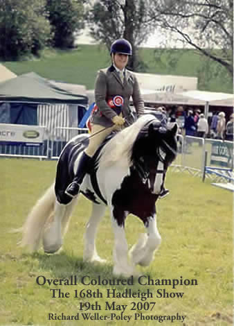 Mr Nigel at Red House Farm Livery Stables