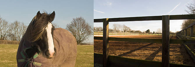 Nigel and Menage at Red House Farm Livery Stables